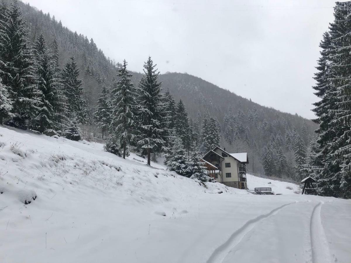Cabana Caprioara - Piatra Craiului Dîmbovicioara Exterior foto