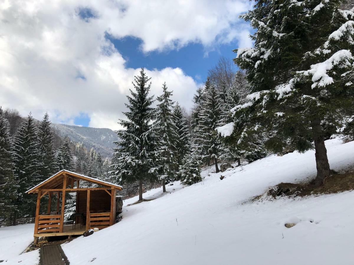 Cabana Caprioara - Piatra Craiului Dîmbovicioara Exterior foto