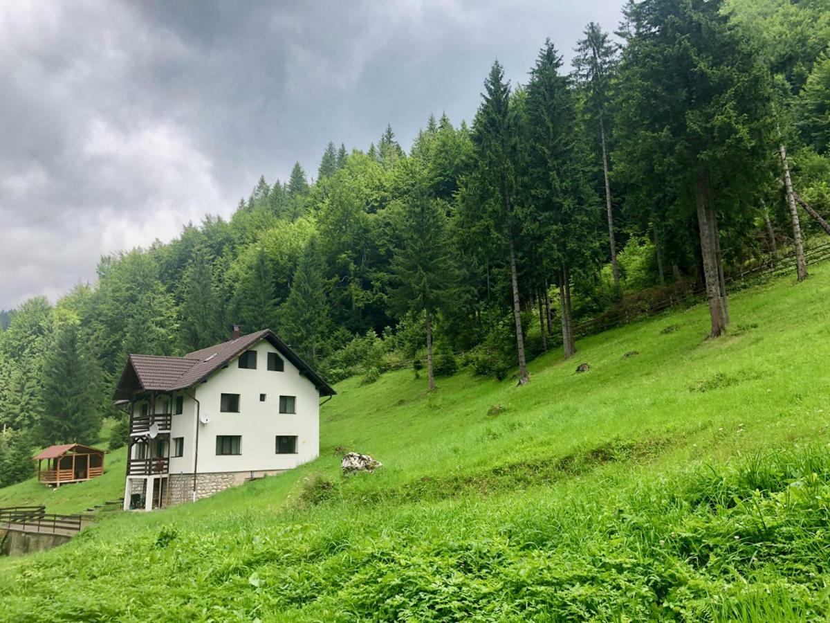 Cabana Caprioara - Piatra Craiului Dîmbovicioara Exterior foto